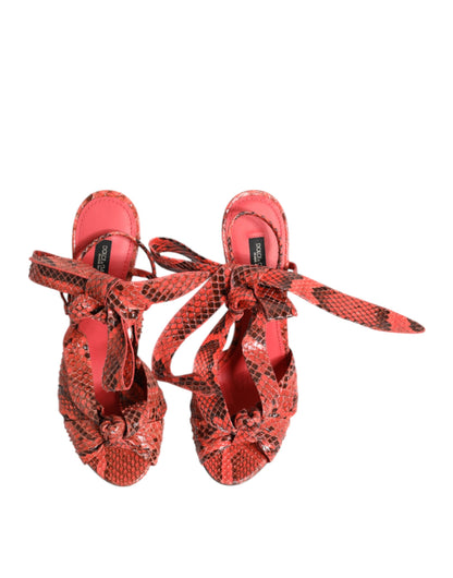 Zapatos de tacón Dolce & Gabbana de pitón coral