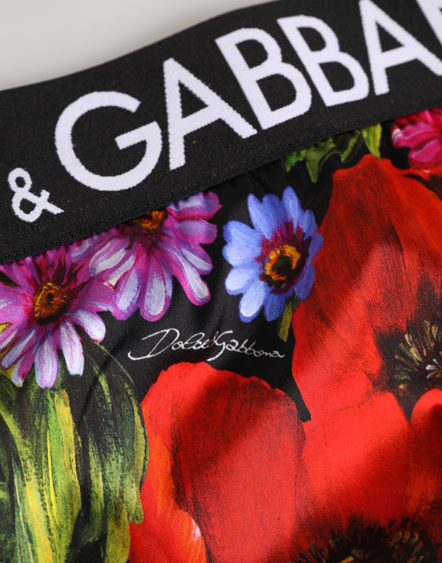 Ropa Interior Tipo Braguita de Cintura Alta con Estampado Floral Multicolor Dolce & Gabbana