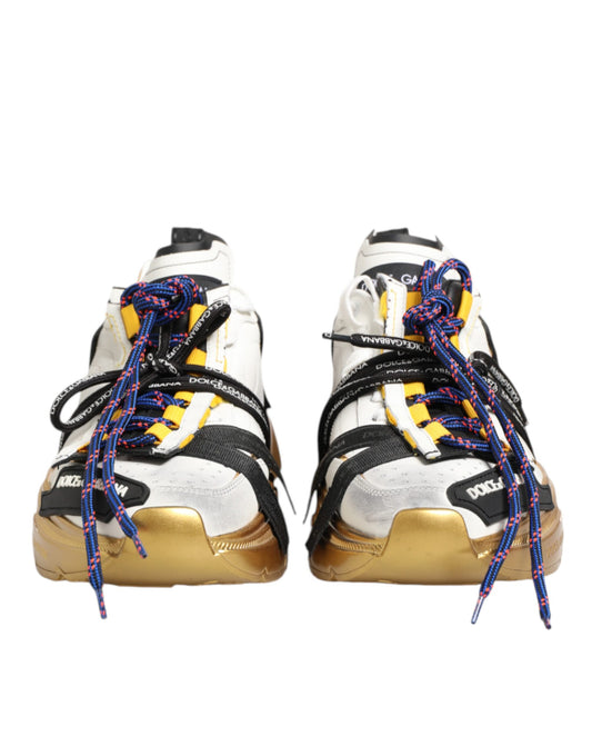 Zapatillas Bajas Dolce & Gabbana Multicolor Daymaster