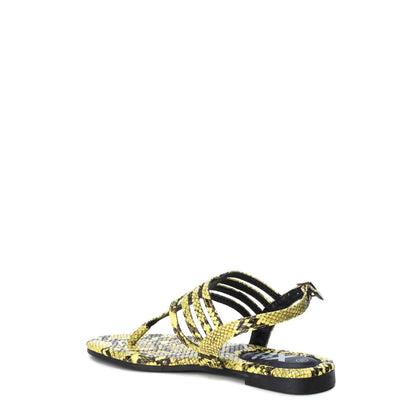 Chanclas Xti Animal Print